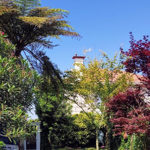 Casa Magda Lägenhet Vigo Exteriör bild